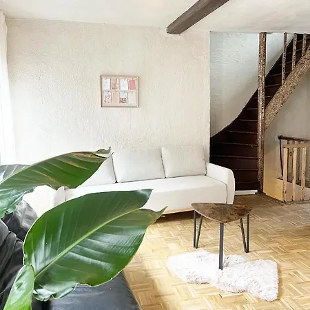 Gigi Home's Antwerpen